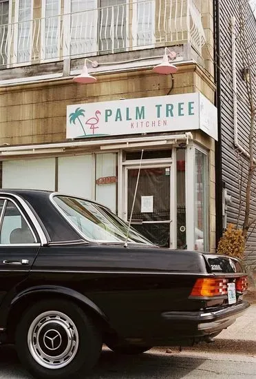 Palm Tree Kitchen