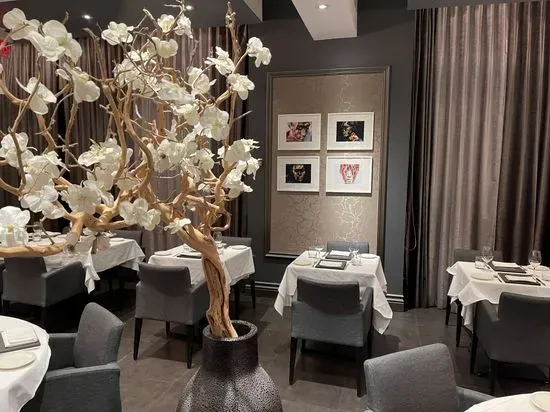 Modus Ristorante