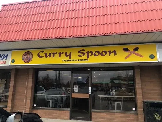 Curry Spoon