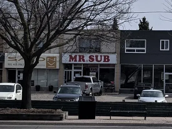 Mr.Sub