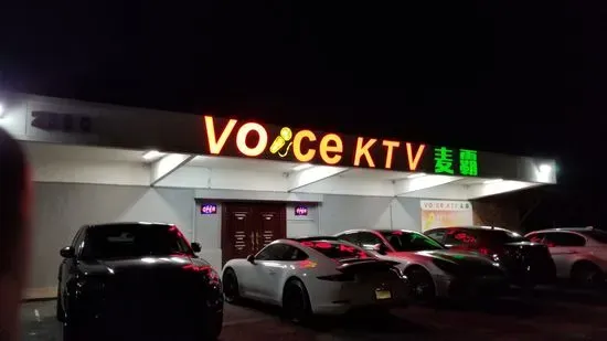 Voice Karaoke KTV