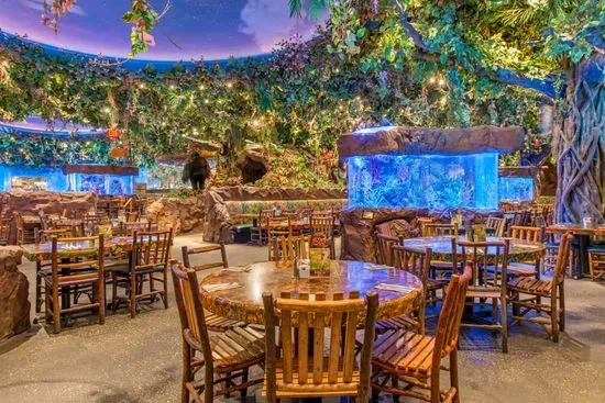 Rainforest Cafe