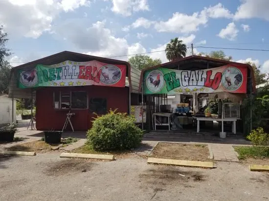 Tortilleria El Gallo