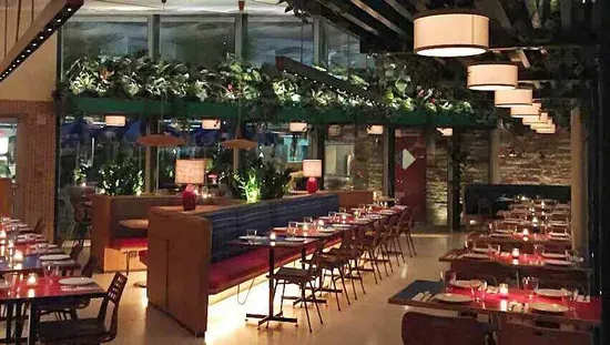OLA Restaurant