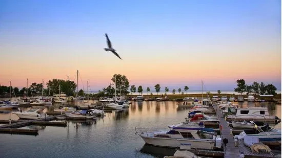 Bluffer's Park Marina