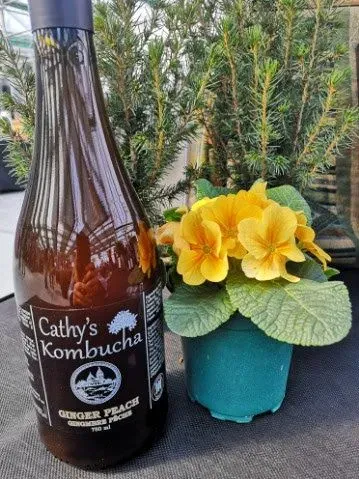 Cathy’s Kombucha