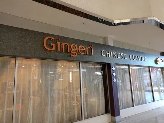 Gingeri Chinese Cuisine