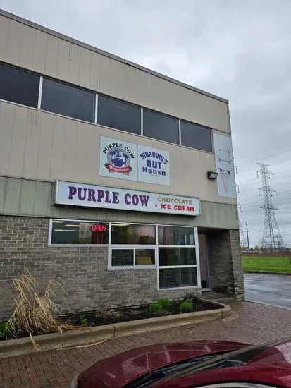 Purple Cow Chocolate And Ice Cream