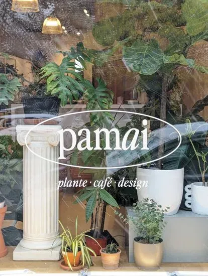 Pamai - plantes & café