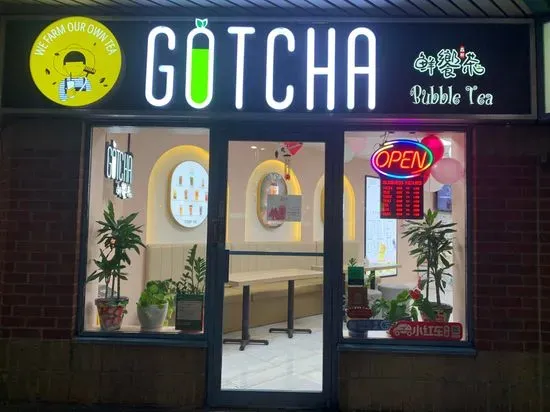 GOTCHA Fresh Tea- Thornhill