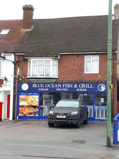 Blue Ocean Fish & Grill