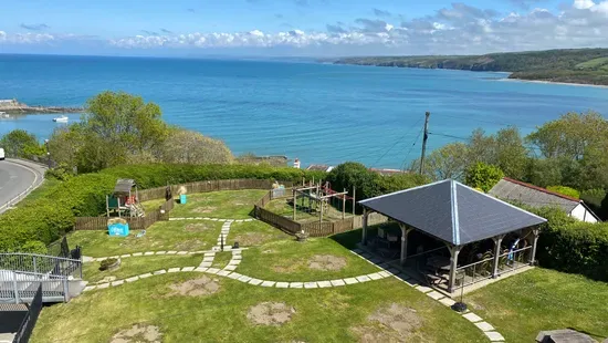 The Black Lion - New Quay, West Wales