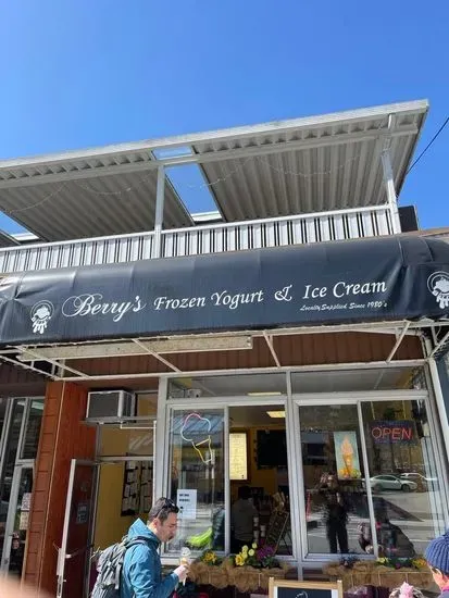 Berry's Frozen Yogurt & Ice Cream