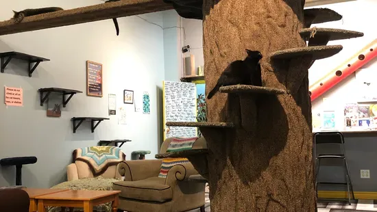 My Kitty Cafe