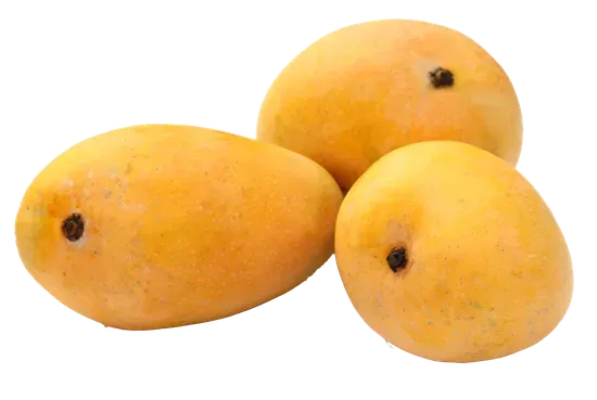 MANGO Fresh Market Inc. (FRESHEST)