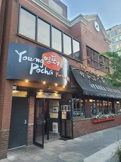 Young Pocha Korean BBQ Restaurant