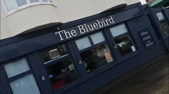 The Bluebird