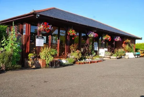 Plant World Nursery and Gardens