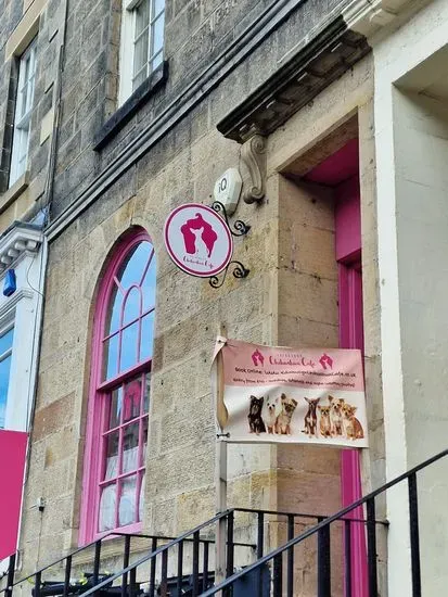 Edinburgh Chihuahua Cafe