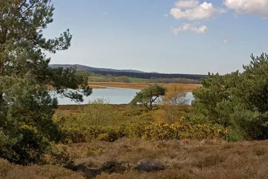 RSPB Arne