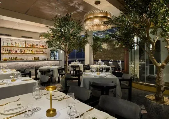 Sparrow Italia Mayfair