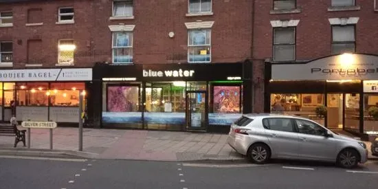 Blue Water Indian Restaurant