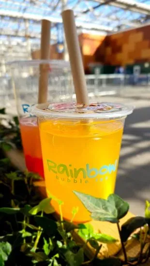 Rainbow Bubble Tea