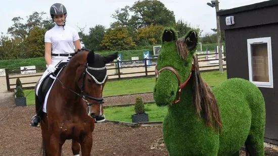 Parley Equestrian Centre