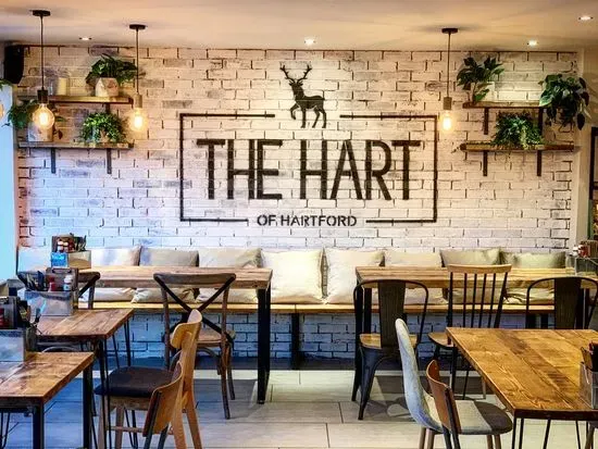 The Hart of Hartford