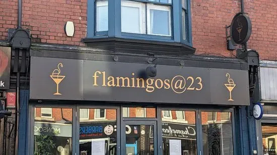 Flamingos@23