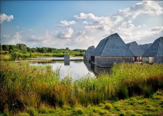 Brockholes