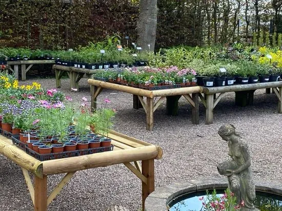 Stonyford Cottage Gardens & Garden Centre