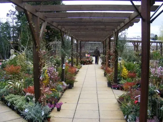 Wolden Garden Centre