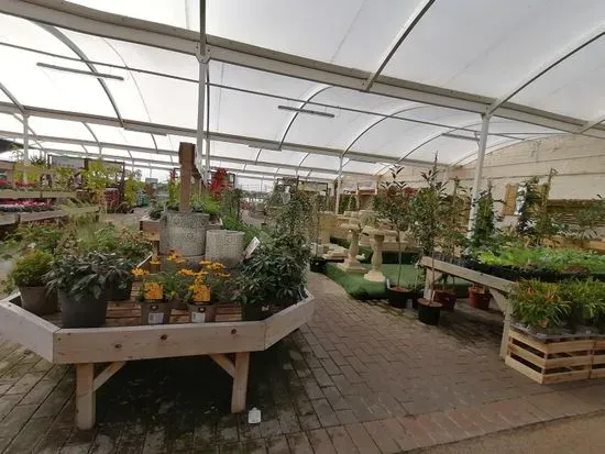 Belton Garden Centre