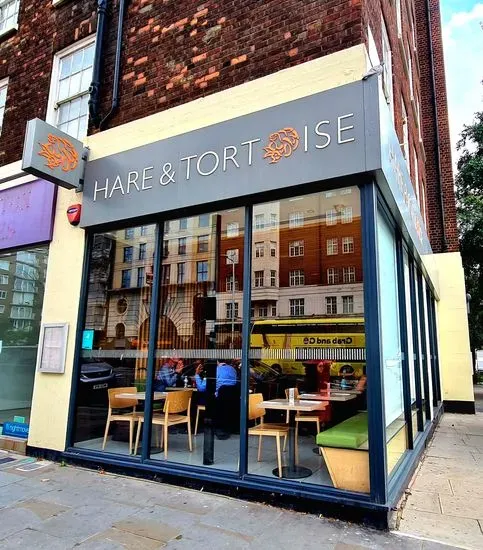 Hare & Tortoise Kensington