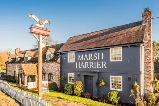 The Marsh Harrier