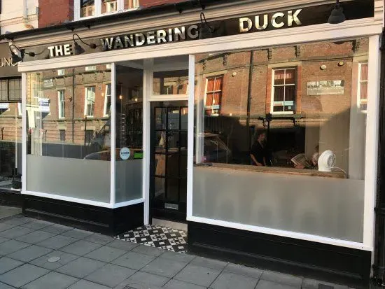 The Wandering Duck