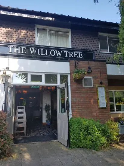 Willow Tree