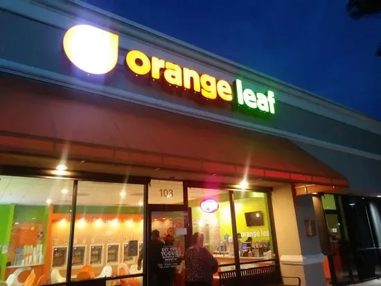 Orange Leaf Frozen Yogurt