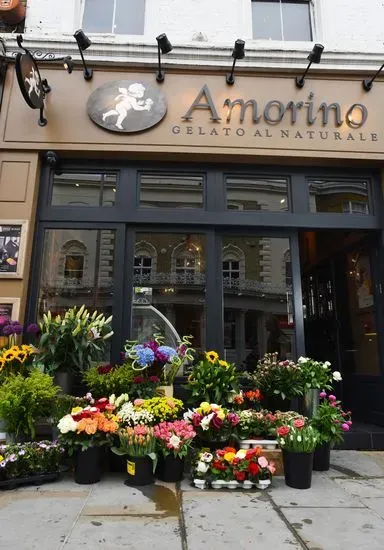 Amorino Gelato - London Chelsea