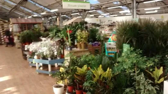 Fair Oak, a Wyevale Garden Centre