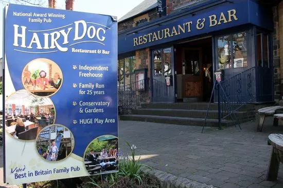 The Hairy Dog