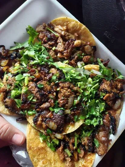 Tacos birria