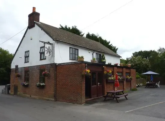 The Black Lion