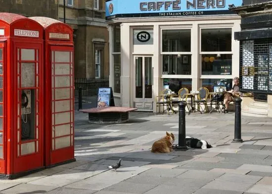 Caffè Nero