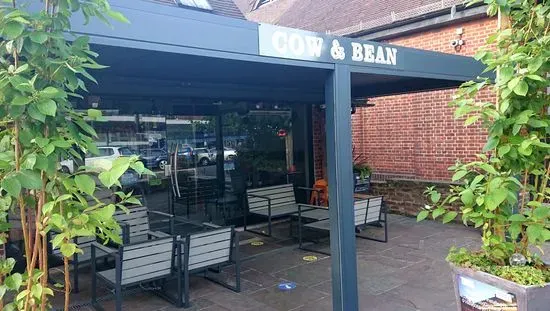 Cow & Bean