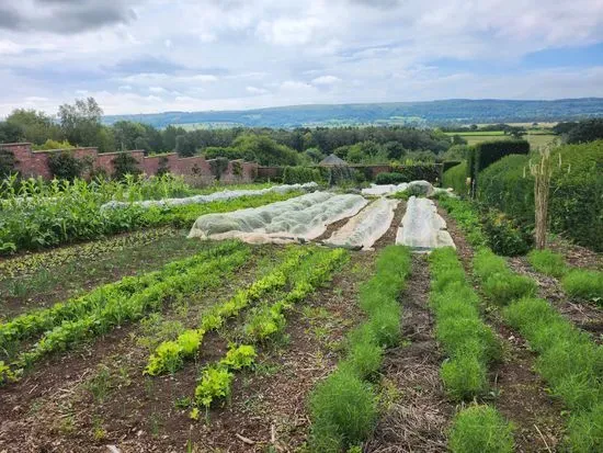 Barley Wood Walled Garden