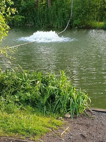 Weston Pools Fishery