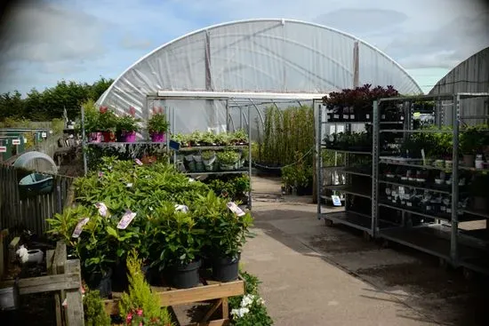 Bridgend Garden Centre