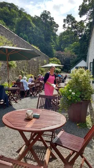 The Bothy Tea Room at Colby Woodland Garden